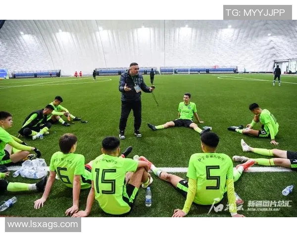 足球的魅力与激情在绿茵场上的绽放与追逐之旅